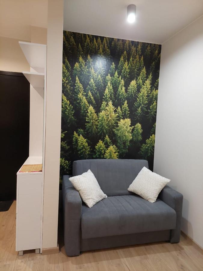 Apartament pod górą Szyndzielnia , Dębowiec Bielsko-Biala Exterior foto